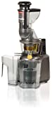 Rgv 110781 Juice Art Muscle Extractor de jugo frío, plateado